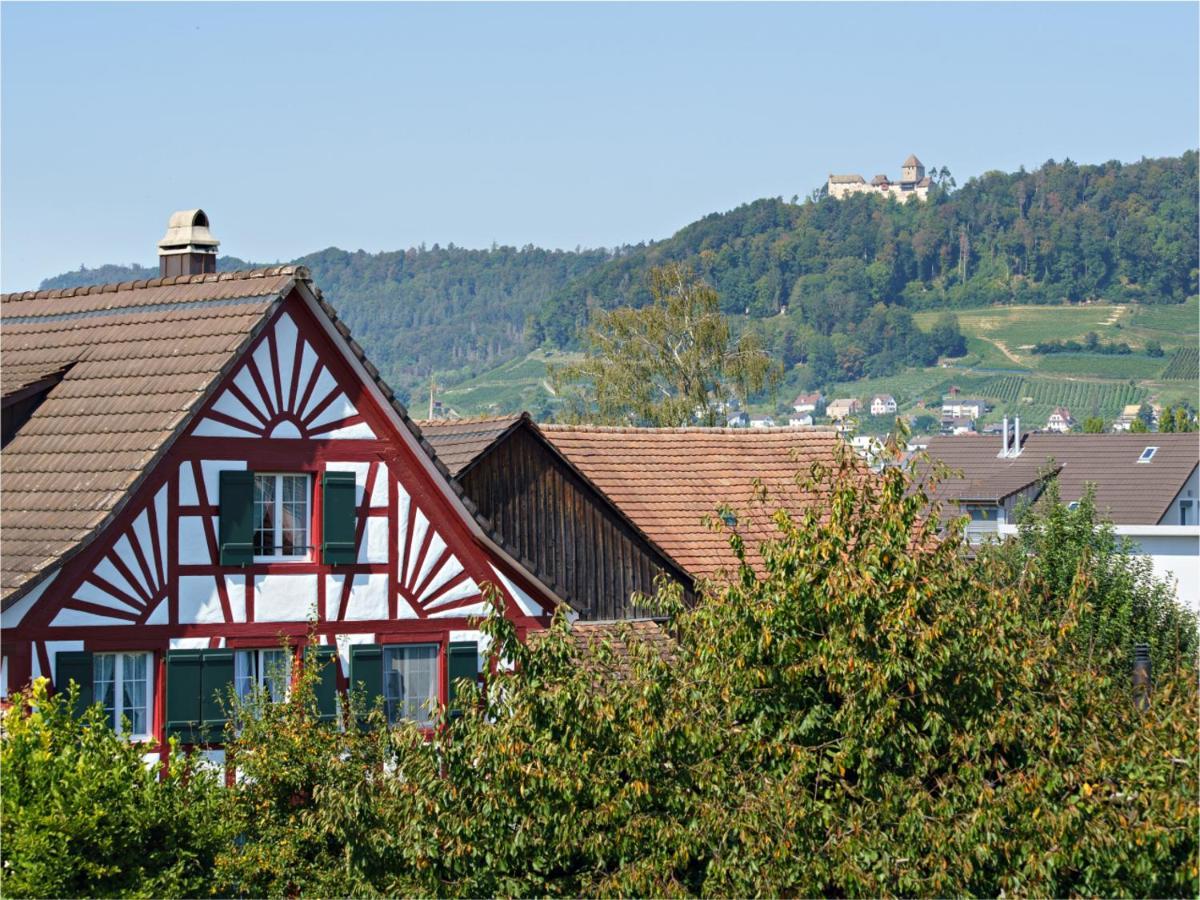 Exklusive 4.5 Zimmer Wohnung Fuer Familien Und Business Eschenz Dış mekan fotoğraf